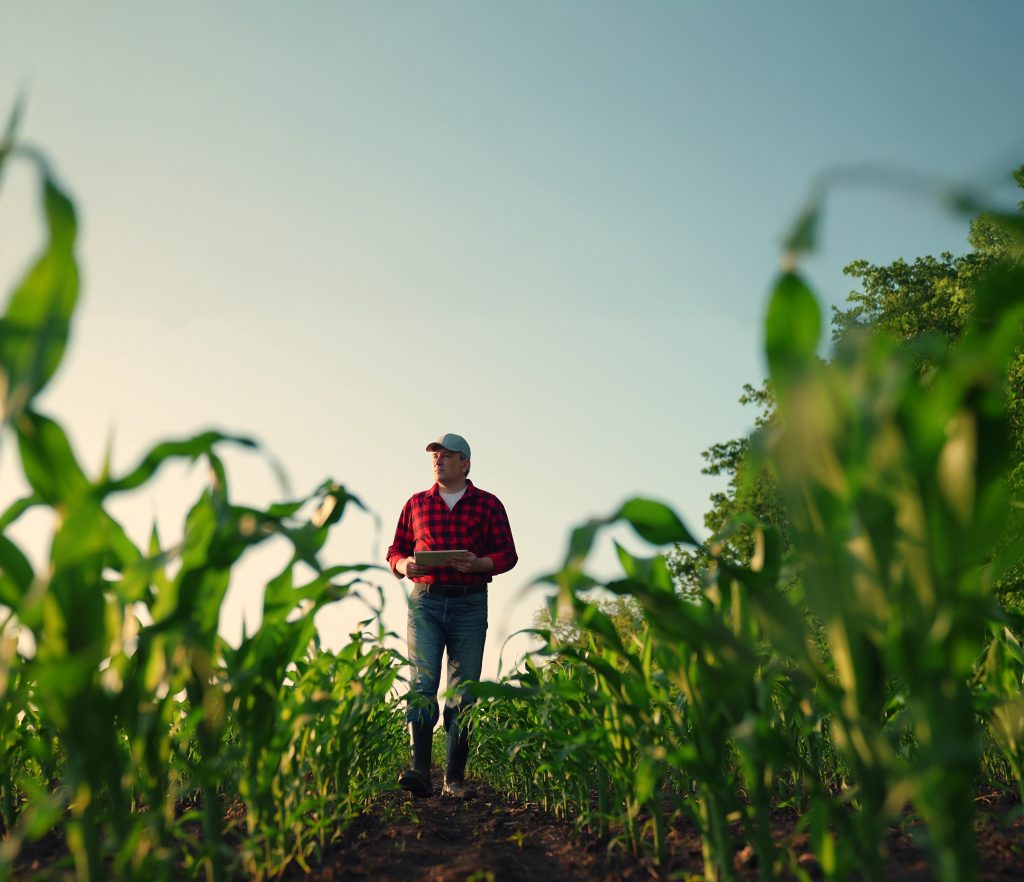 Innoveren en groeien met AI AIC4NL | AI voor Nederland