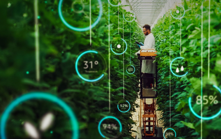 Ai afbeeldingen in de kas