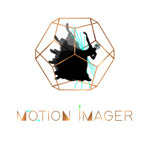 Motion Imager IP Holding, LLC